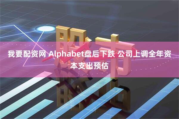 我要配资网 Alphabet盘后下跌 公司上调全年资本支出预估